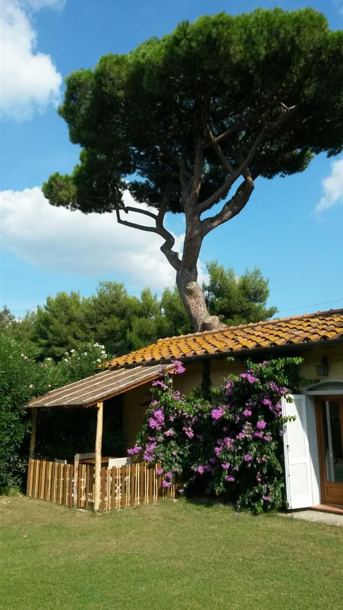I Cavalleggeri Villa Castagneto Carducci Exterior foto